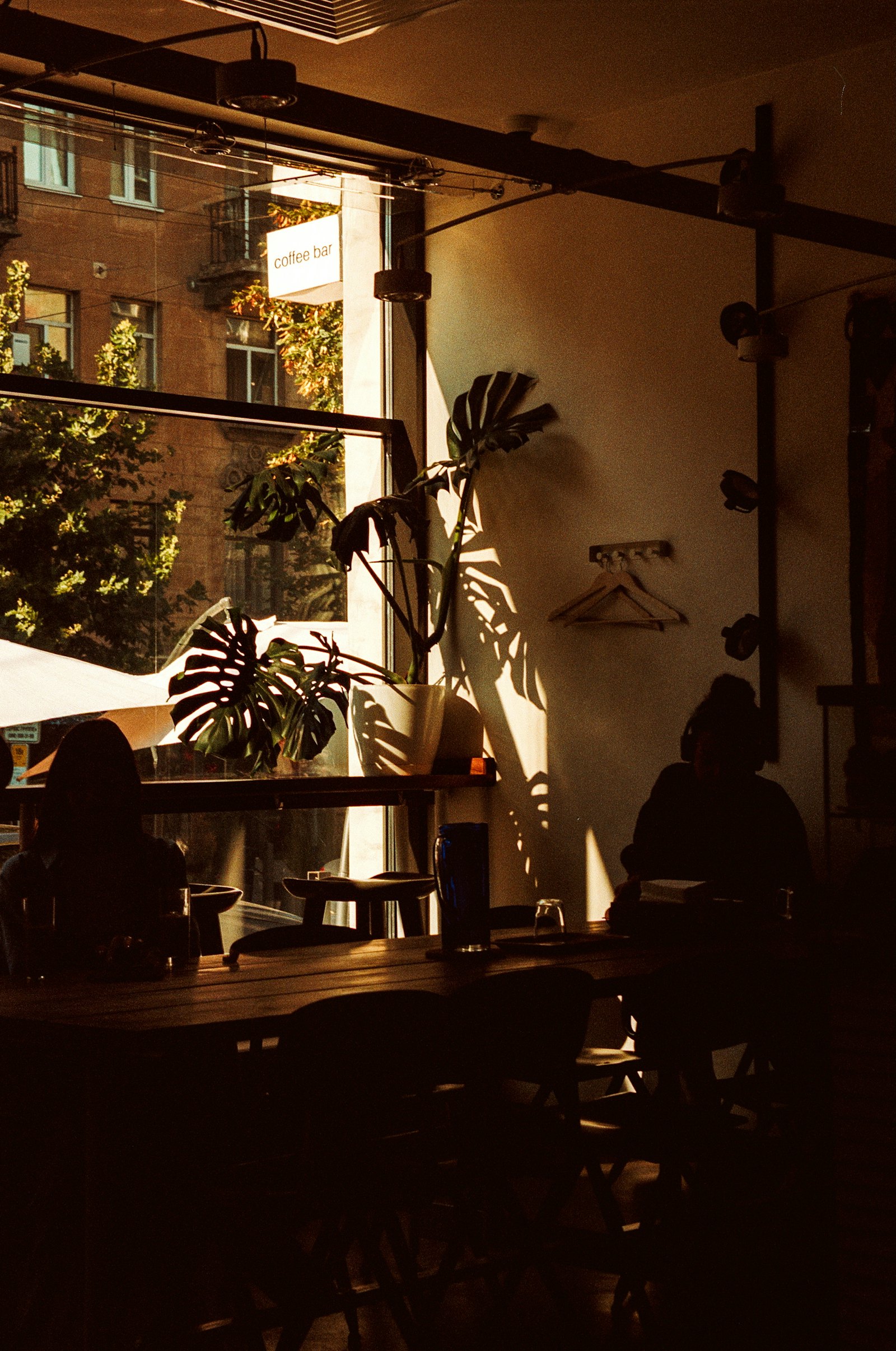 Late afternoon light falling across a café window, with a monstera plant, wooden tables and people sitting quietly inside